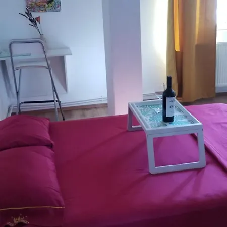 ベッド・アンド・ブレックファスト Private At Ceausescu's Place In Old Unirii Square *