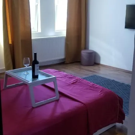 Bed & Breakfast Private At Ceausescu's Place In Old Unirii Square *